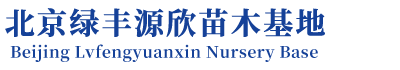 北京绿丰源欣苗木基地